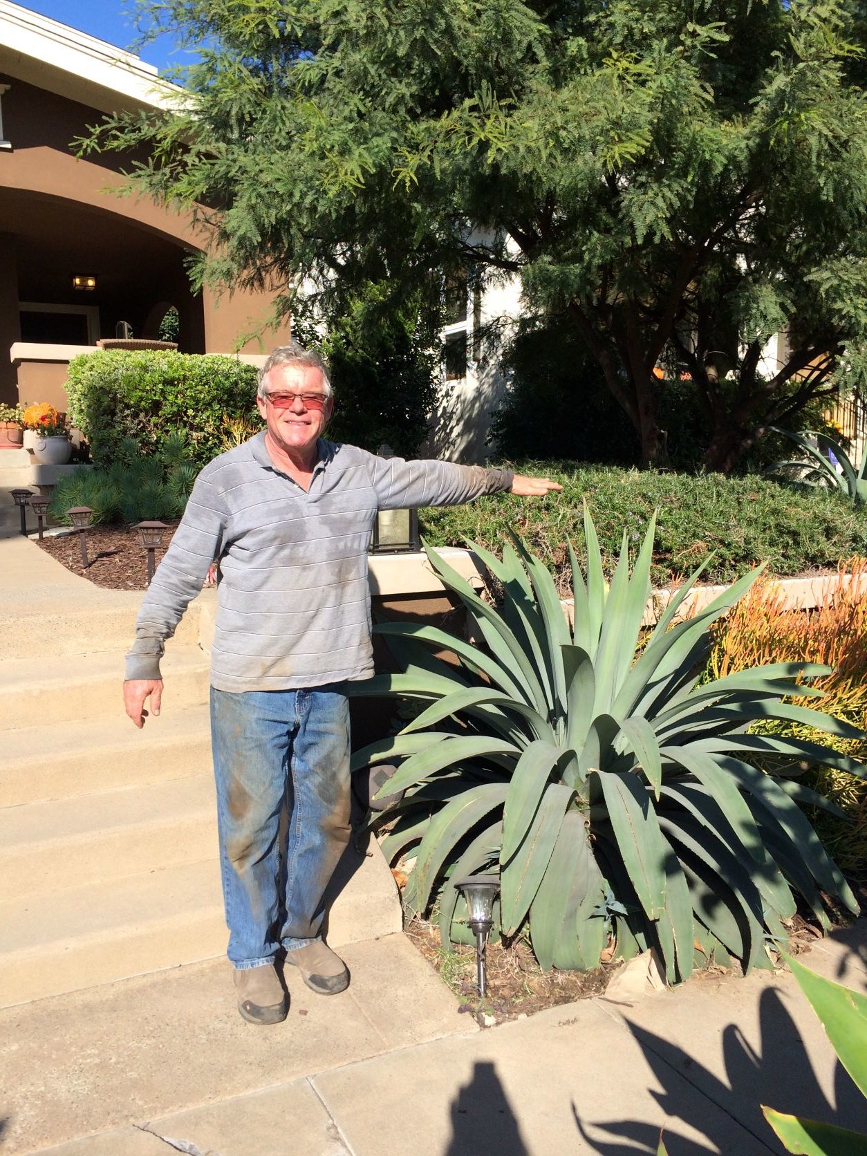 presidioPeter St Clair showing donated succulent_medium